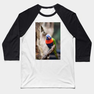 Rainbow Beauty Baseball T-Shirt